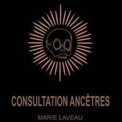 consultation divination des ancêtres 