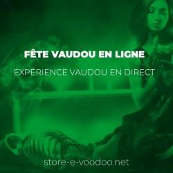 Fête vaudou en ligne expérience vaudou en direct