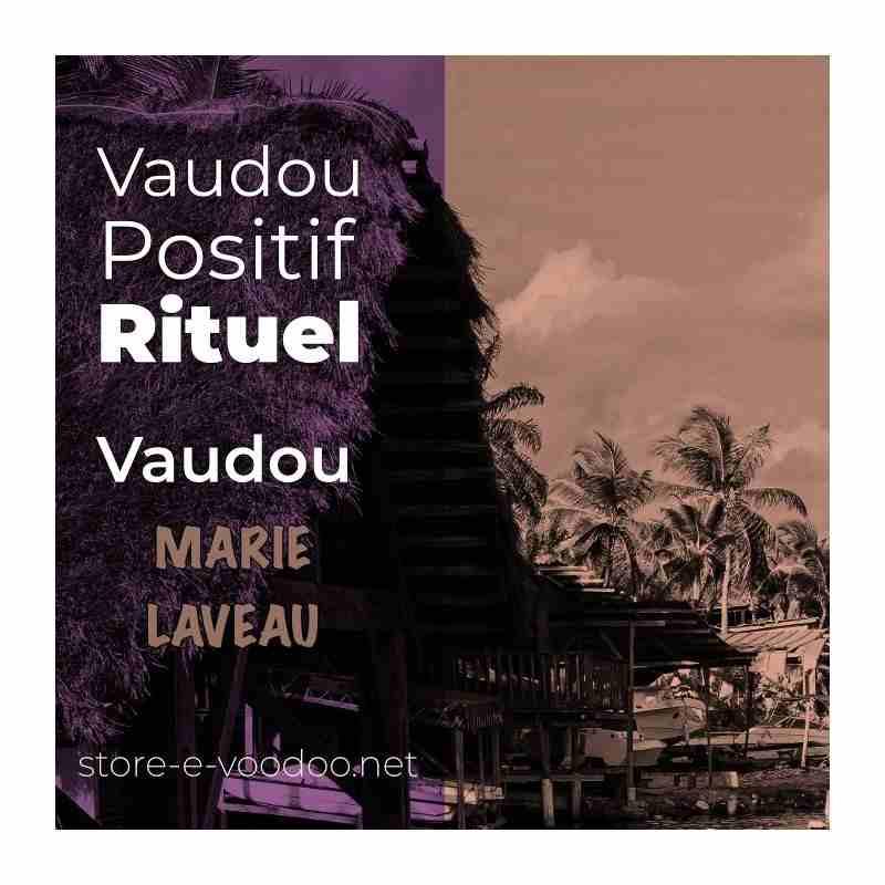 vaudou positif - Rituel vaudou paysage Haiti palmier et plage bi Color sépia et violet