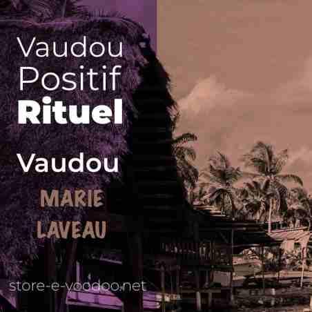 vaudou positif - Rituel vaudou paysage Haiti palmier et plage bi Color sépia et violet