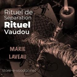 rituel de séparation une poupée vaudou en paille piquée partout à la lueur d'une bougie avec un vévé erzulie dantor image sépia