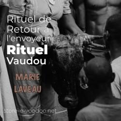 image noir et blanc de rituel vaudou de retour à l'envoyeur un sorcier tient une tête de taureau.