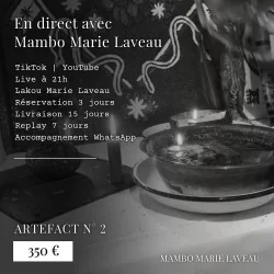 artefact 2 par mambo marie laveau un rituel vaudou en direct tik tok youtube et délais de livraison