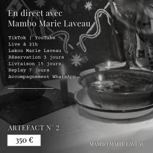 artefact 2 par mambo marie laveau un rituel vaudou en direct tik tok youtube et délais de livraison
