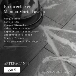 artefact numéro 4 fete vaudou en direct avec mambo marie laveau trace vévé