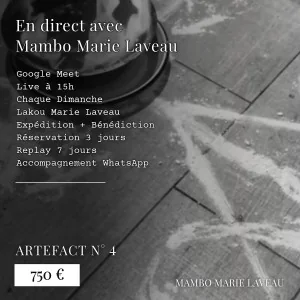 artefact numéro 4 fete vaudou en direct avec mambo marie laveau trace vévé