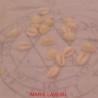 Consultation du FA Vodou Marie Laveau