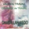 Demande de Travail - Damballah Wedo - Rituel - Vodou - Vaudou - Voodoo - Marie Laveau - Magie Blanche