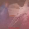 Consultation divination Lwas Marie Laveau