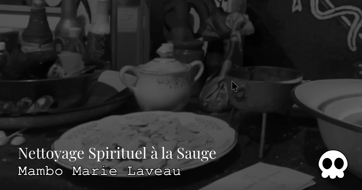 NOTE : LE NETTOYAGE SPIRITUEL &Agrave; LA SAUGE EST DISPONIBLE PARMIS LES OPTIONS DE L'ARTEFACT NUM&Eacute;RO - Cliquez ici