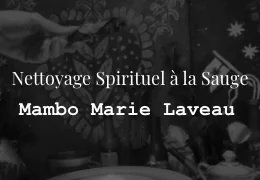 Le nettoyage spirituel à la sauge : purifier les énergies et retrouver l'harmonie